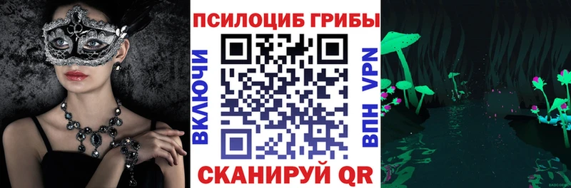 Галлюциногенные грибы GOLDEN TEACHER  Курильск 